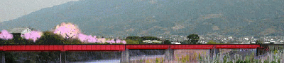 キハ桜赤い鉄橋