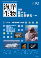 『海洋と生物』254号【日本の頭足類研究（2）】