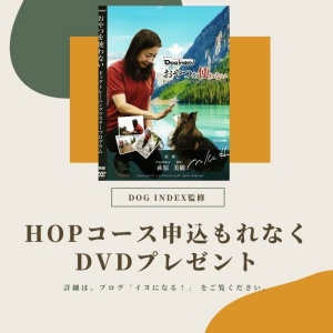 DVDブログ