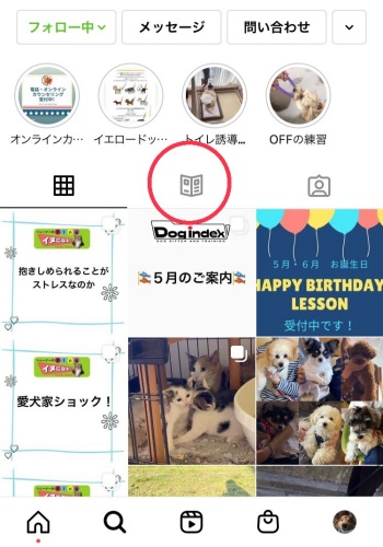 S__77471809.jpg