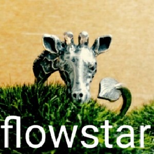 2020_flowstar_logo.jpg
