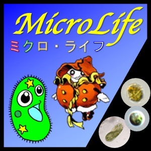 2020_ミクロ・ライフ～粘菌問題を考えるアメーバの物語～_logo