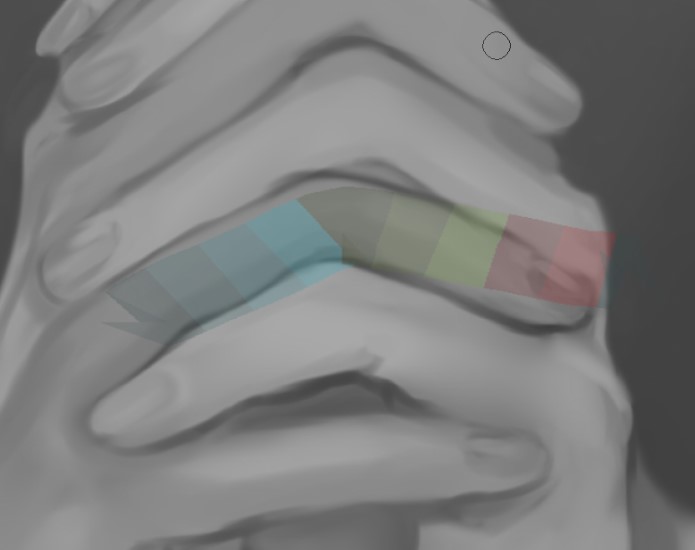 人体解剖学により指と手の比率を考える