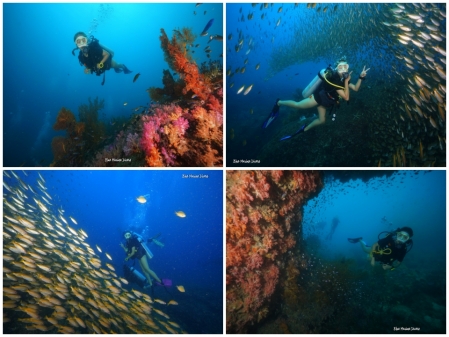 open water diver 270321 (3)