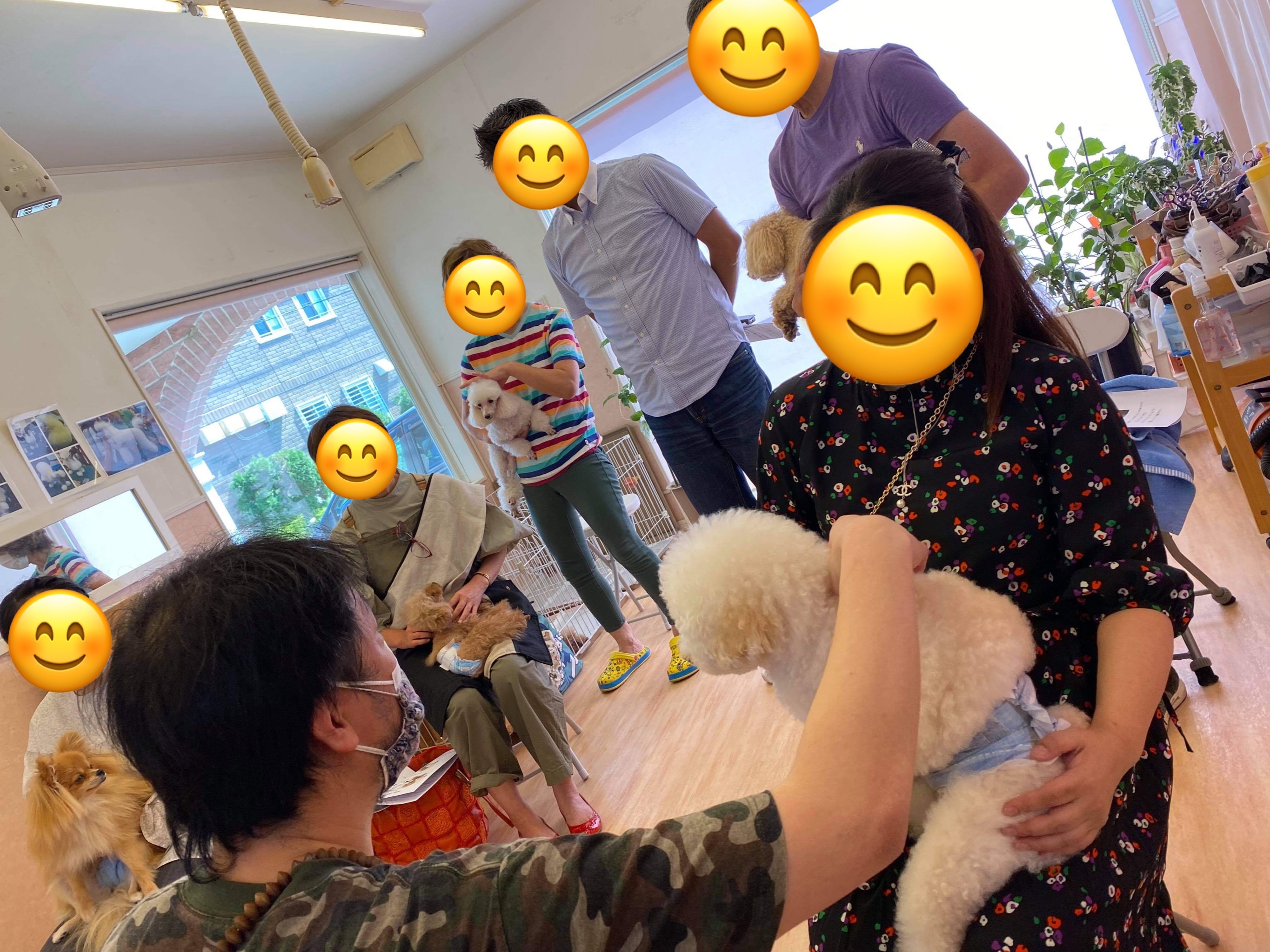 犬の整体マッサージセミナー風景